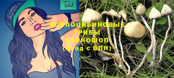 соль курить ск Белокуриха